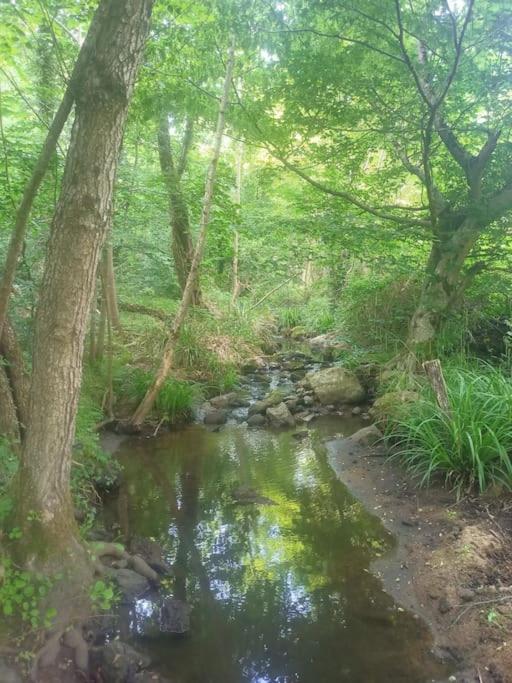 Ecrin De Verdure En Ardeche Verte Colombier-le-Vieux 외부 사진